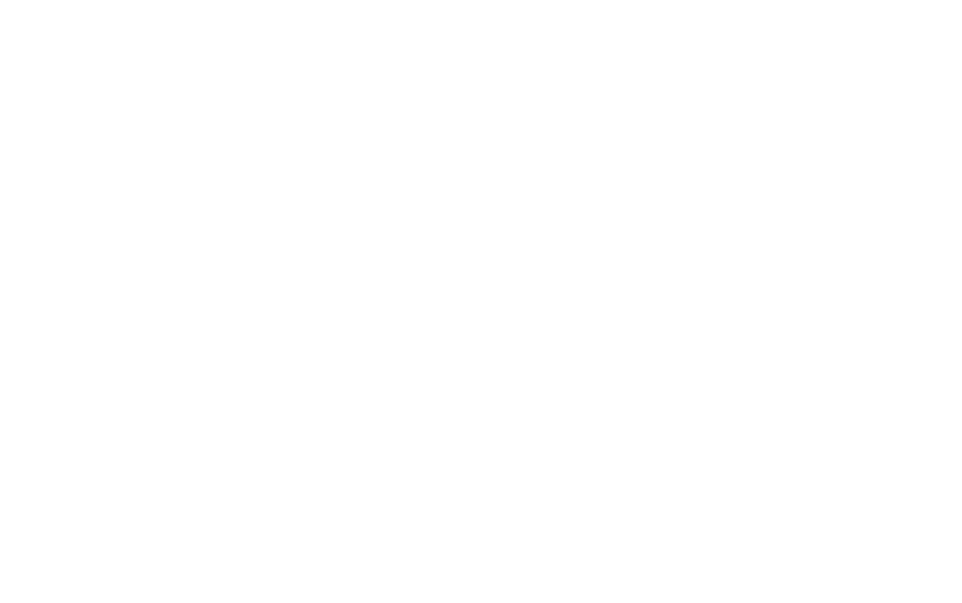 bnm roofing logo upscaled white